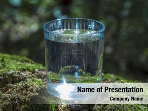 Still glass clean water tree PowerPoint Template