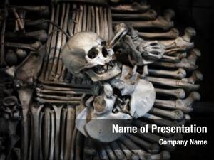 Skull and bones 