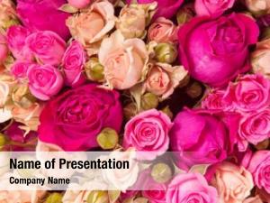 Abstract Flowers PowerPoint Templates - Abstract Flowers PowerPoint ...