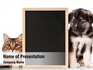 Pets with blackboard 