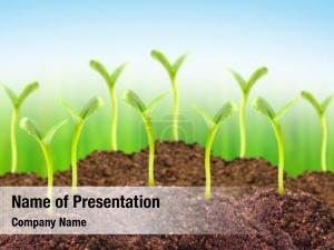 Soil Powerpoint Templates Templates For Powerpoint Soil Powerpoint Backgrounds