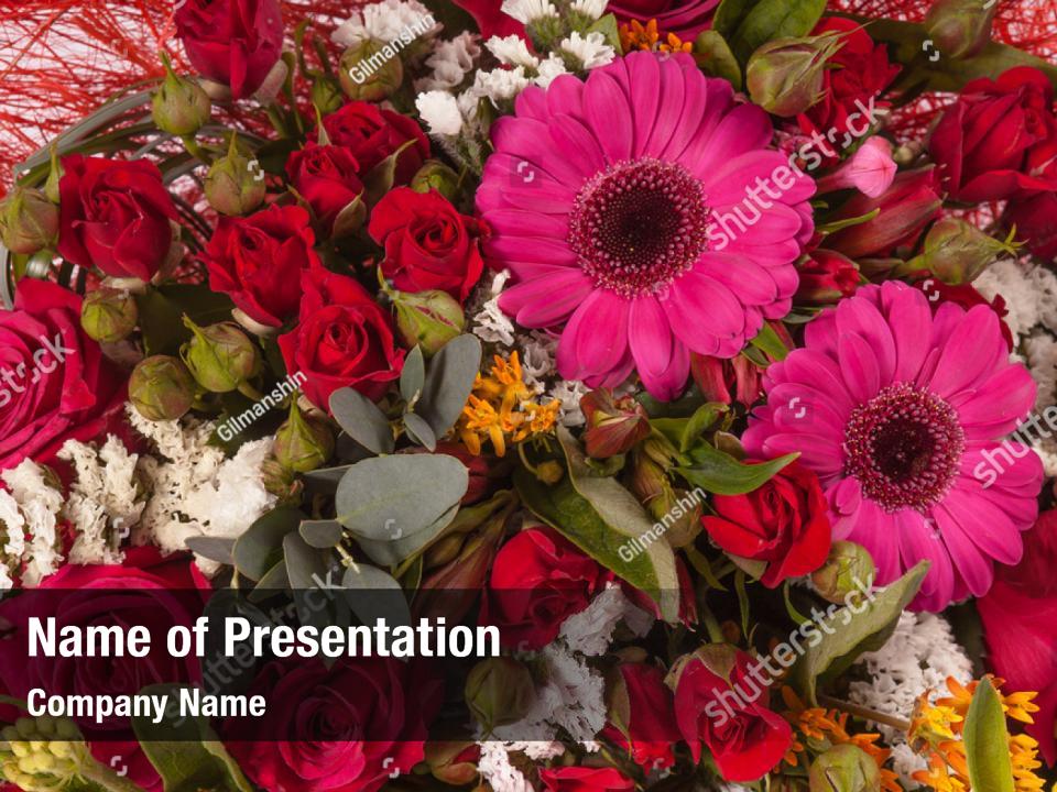 Botanical aster flower closeup PowerPoint Template