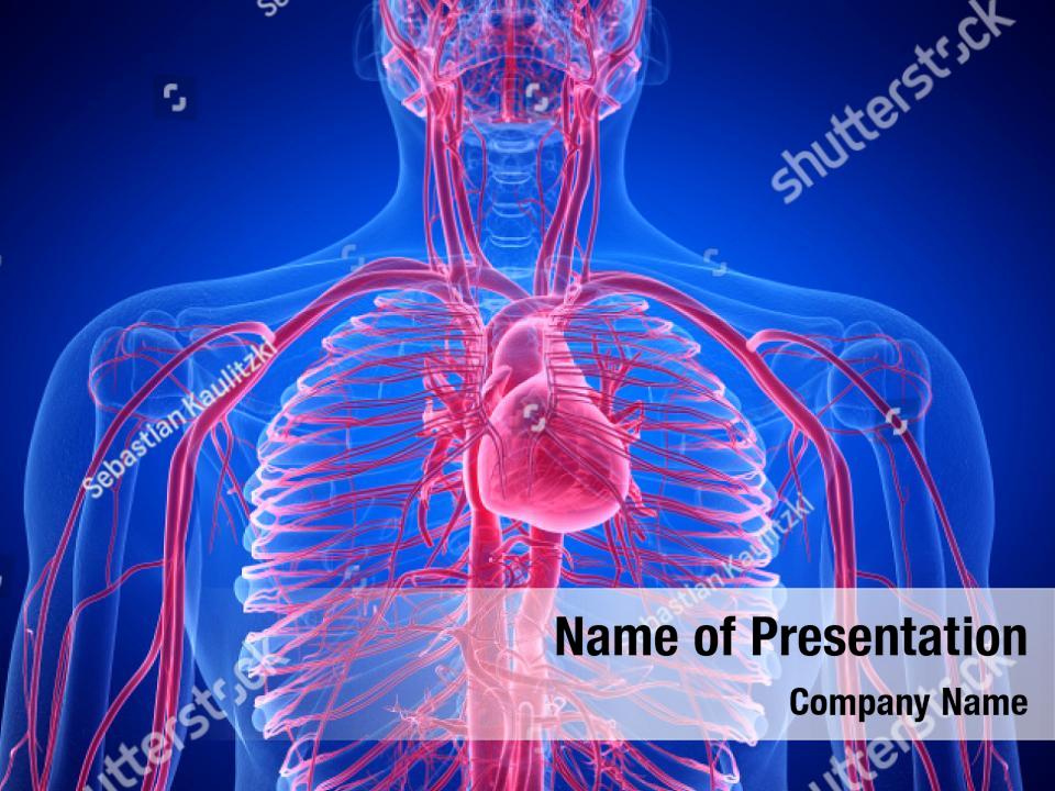 Infographic 3d of human lungs PowerPoint Template - Infographic 3d of ...