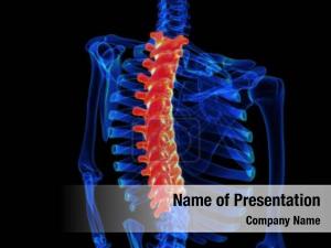Vertebral Column PowerPoint Template