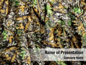 Camouflage Soldier