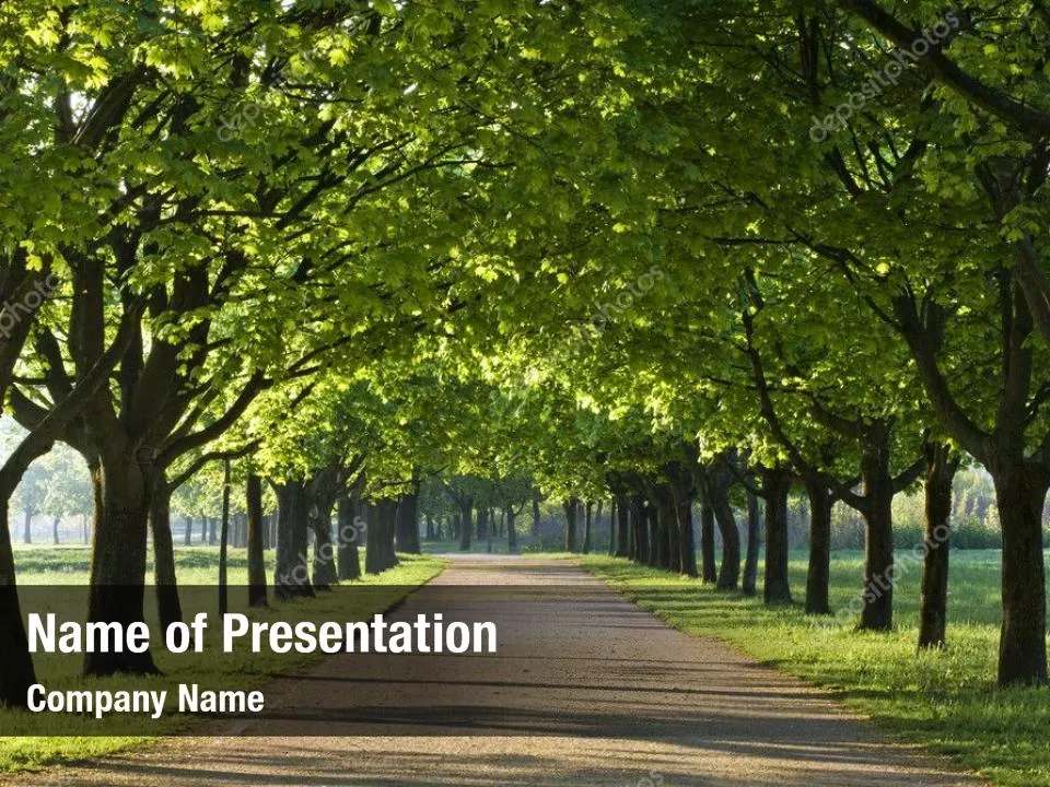 Trees PowerPoint Template - Trees PowerPoint Background