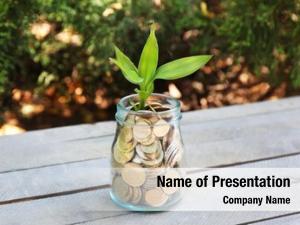 Plant and Coins PowerPoint Templates - Plant and Coins PowerPoint ...