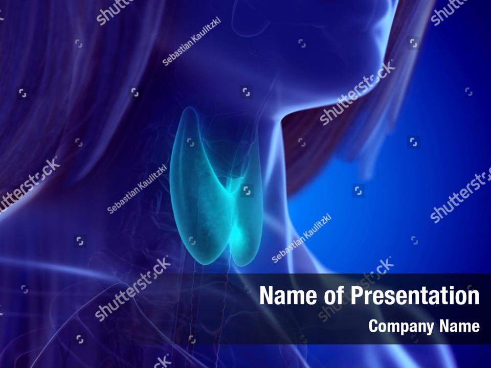 gland-human-thyroid-powerpoint-template-gland-human-thyroid