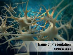 3d of neurons 