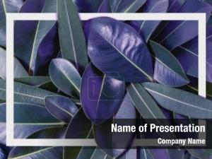 Green Neon Leaves PowerPoint Template