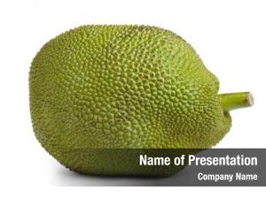 Jackfruit on a white  PowerPoint Template