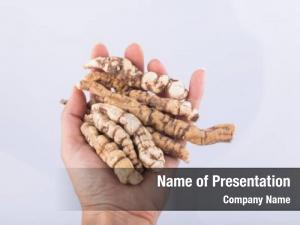 Oriental Medicine PowerPoint Template
