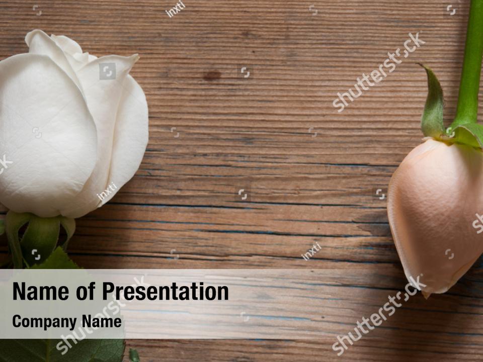 Bouquet space view copy PowerPoint Template Bouquet space view copy