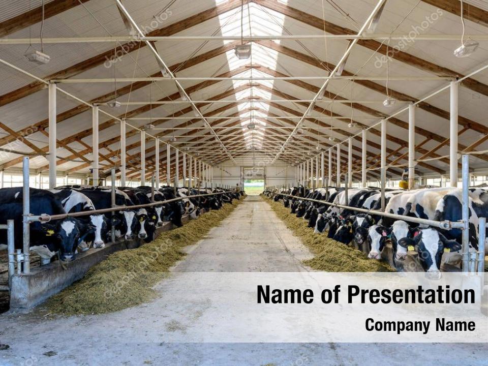 Sticker farming agriculture industry PowerPoint Template - Sticker farming  agriculture industry PowerPoint Background