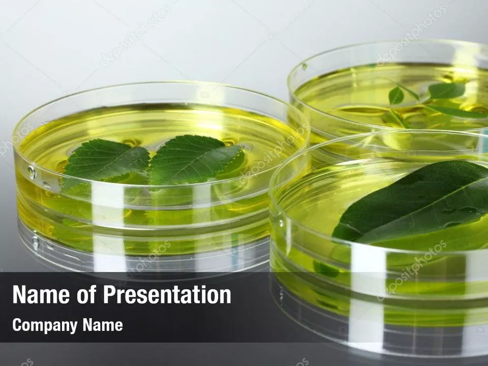 Genetically Modified Plants