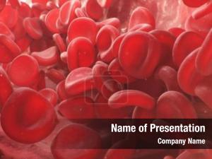 Cells red blood inside vein