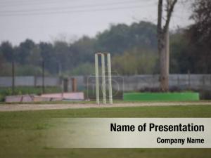Cricket Field PowerPoint Template