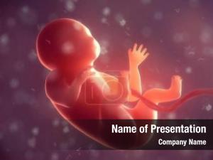 Fetus PowerPoint Template