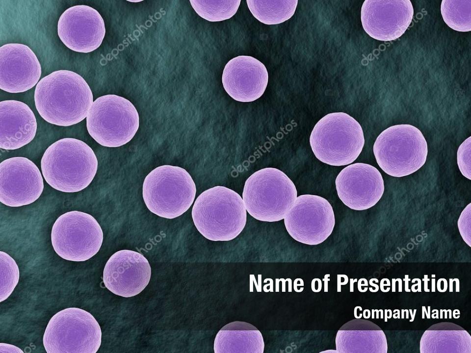 Staphylococcus  