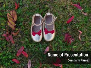 Autumn Leaves Theme PowerPoint Template