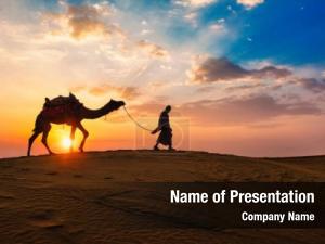 Camel rajasthan travel silhouette dunes