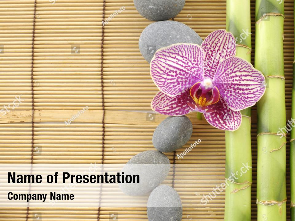 Beautiful of white orchid PowerPoint Template Beautiful of white