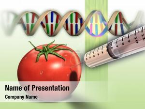 Tomato genetically modified dna sequence