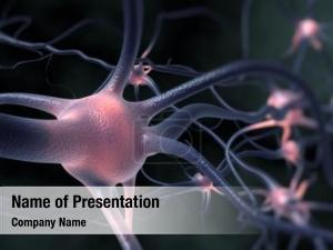 Neuron
