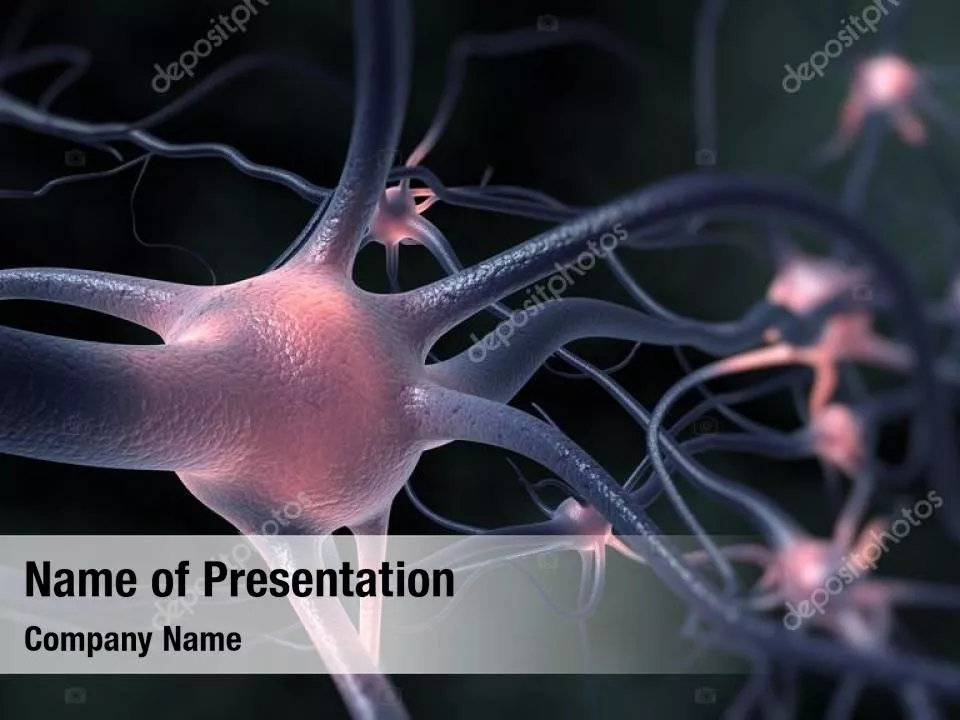 Neuron