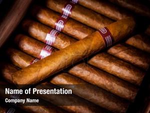 Cigars PowerPoint Template