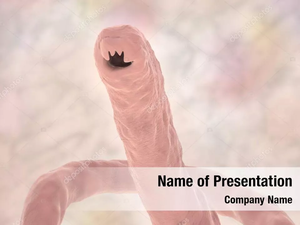 Hookworm PowerPoint Template Hookworm PowerPoint Background