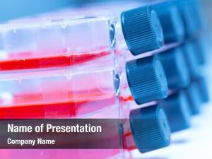 Laboratory Flasks PowerPoint Templates - Laboratory Flasks PowerPoint ...