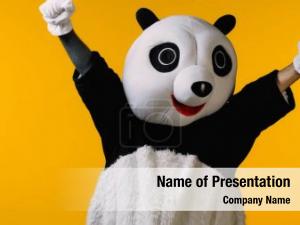 Panda excited person bear costume