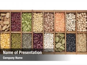  PowerPoint Template