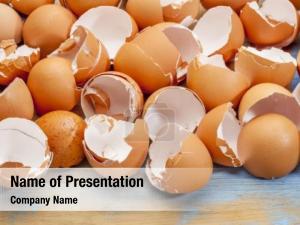 Eggshell   PowerPoint Template