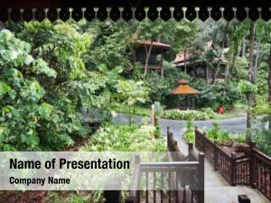 Green health resort rainforest 