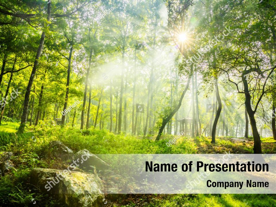 Green banyan tree PowerPoint Template - Green banyan tree PowerPoint ...