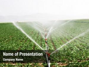 Green irrigation system field  PowerPoint Template