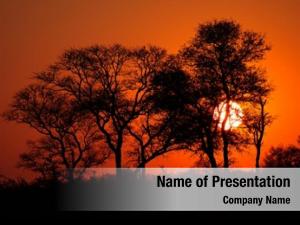 African Savanna Sunset PowerPoint Templates - African Savanna Sunset ...