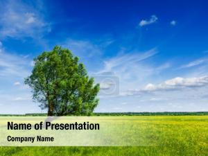  PowerPoint Template