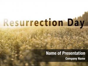 Text resurrection