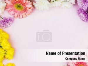  PowerPoint Template