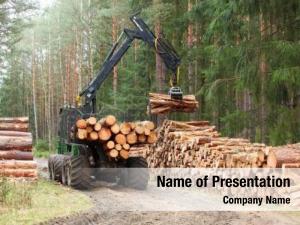 Alternative fuel harvest timber