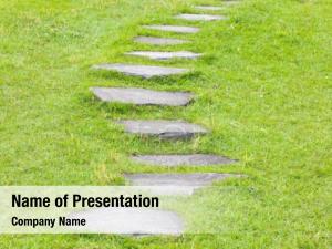 Stone Path With Green Plant PowerPoint Template