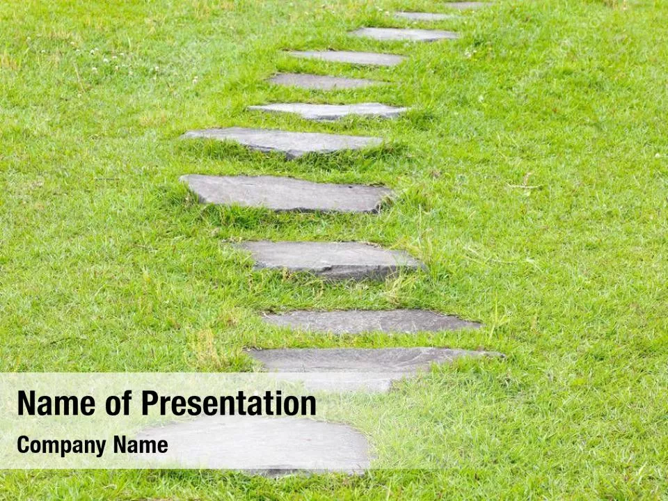 Stone Path With Green Plant