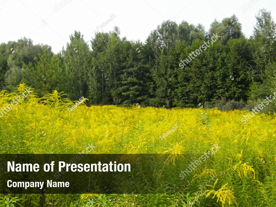 Forest Powerpoint Template