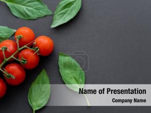  PowerPoint Template