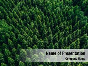 Forest PowerPoint Template