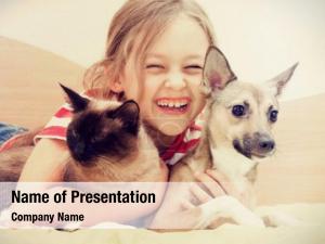  PowerPoint Template