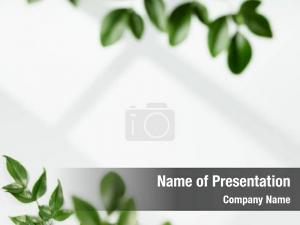  PowerPoint Template